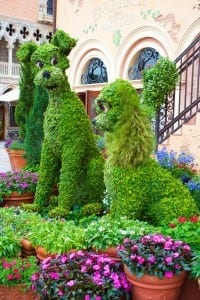 Lady-Tramp-Topiary-Epcot-Flower-Garden-Festival